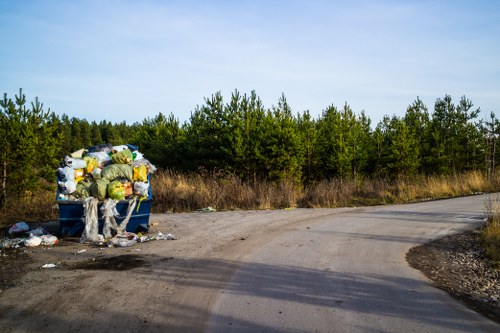 Benefits of using a domestic skip